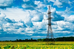 High-voltage power transmission tower in a field of sunflowers.